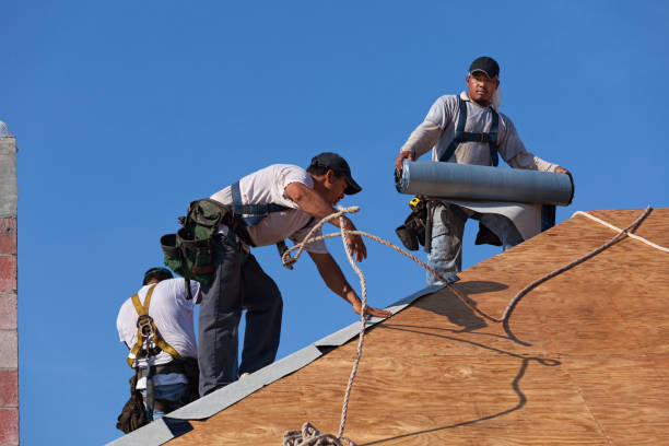 Quick and Trustworthy Emergency Roof Repair Services in Tuscarawas, OH